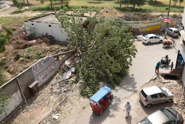 One killed, 13 injured as strong winds, dust storm hit Delhi | Latest ...