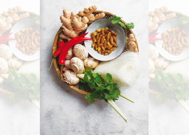 A silk worm dish A silk worm dish