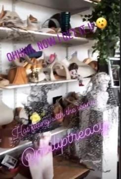 Priyanka Chopra went fascinator shopping a day before royal wedding.