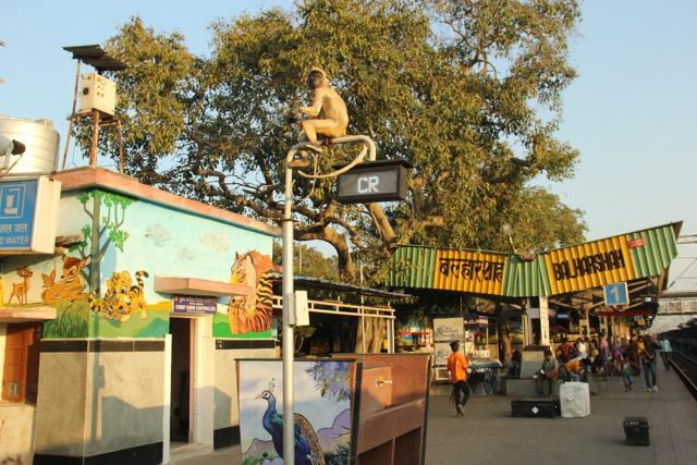 A fake monkey perched on a lamp post, murals on every wall, peacocks at the water fountains — Ballarshah has a serious sense of fun. A fake monkey perched on a lamp post, murals on every wall, peacocks at the water fountains — Ballarshah has a serious sense of fun.