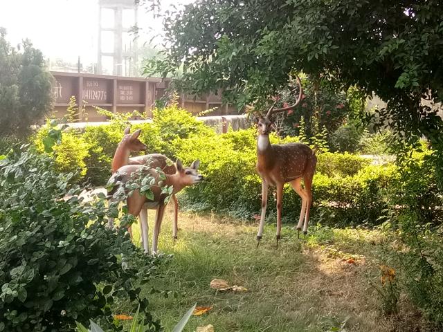 At Chandrapur, sculptures of deer cluster in corners, amid real greenery. At Chandrapur, sculptures of deer cluster in corners, amid real greenery.