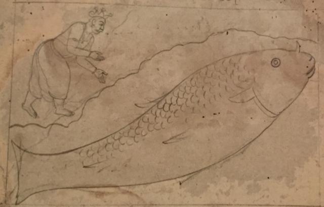 Manaku’s painting of tiny fish that outgrow the pond. (Collection Rakesh Sinha, London ) Manaku’s painting of tiny fish that outgrow the pond. (Collection Rakesh Sinha, London )