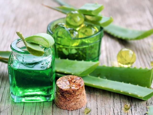 Aloe Vera has antiseptic and antimicrobial properties that soothes the skin. (Shutterstock) Aloe Vera has antiseptic and antimicrobial properties that soothes the skin. (Shutterstock)