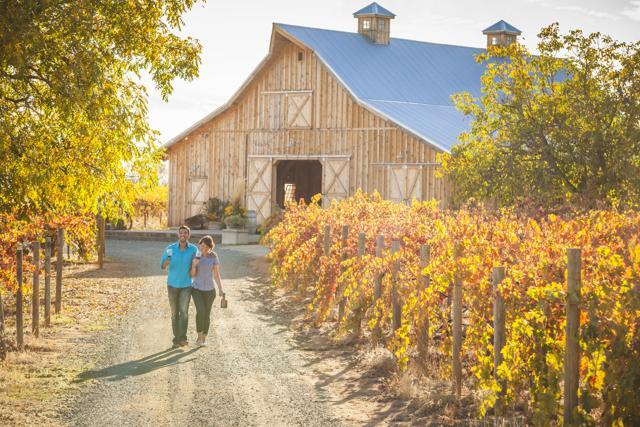 The California spirit: Explore the culinary wonders of the Golden State The California spirit: Explore the culinary wonders of the Golden State