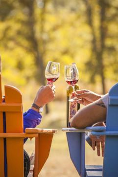 The California spirit: Explore the culinary wonders of the Golden State The California spirit: Explore the culinary wonders of the Golden State