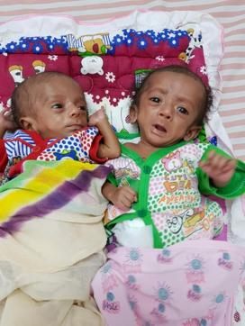 The babies when they were released on Wednesday. (HT Photo ) The babies when they were released on Wednesday. (HT Photo )