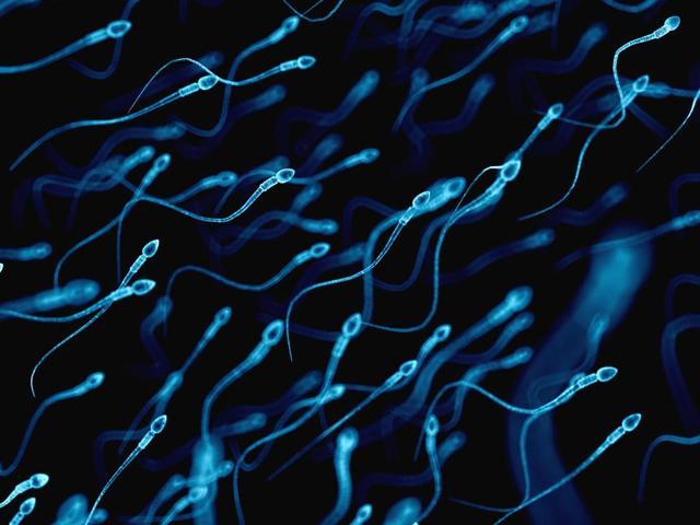 Stress leaves you with low sperm motility, which makes it less likely for the sperm to fertilise an egg. (Istock) Stress leaves you with low sperm motility, which makes it less likely for the sperm to fertilise an egg. (Istock)