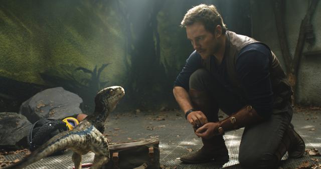 This image released by Universal Pictures shows Chris Pratt in a scene from the upcoming Jurassic World: Fallen Kingdom. (AP) This image released by Universal Pictures shows Chris Pratt in a scene from the upcoming Jurassic World: Fallen Kingdom. (AP)