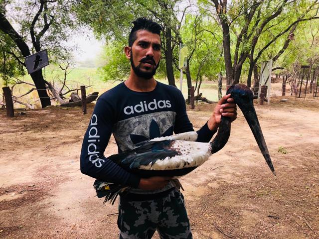 Sonu Dalal, one of the rescuers, poses with the rescued stork. (HT Photo) Sonu Dalal, one of the rescuers, poses with the rescued stork. (HT Photo)