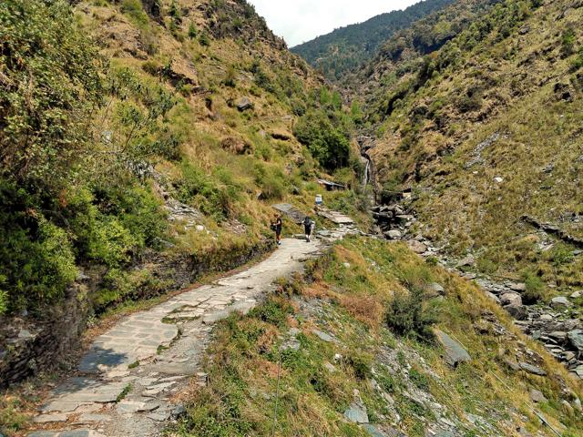 The Bhagsu trek is a kilometre-and-a-half walk to the Bhagsu falls. (Photo: Sanchita Guha) The Bhagsu trek is a kilometre-and-a-half walk to the Bhagsu falls. (Photo: Sanchita Guha)