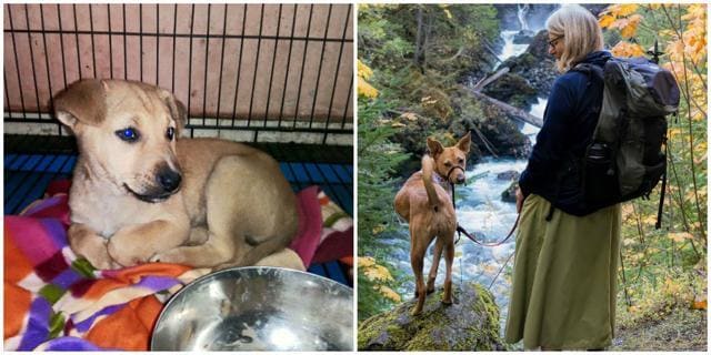 Before and after pictures of Meenu. Before and after pictures of Meenu.