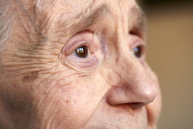 The study also showed that ageing, along with a diet which is high in sugar and fat content, would lead to increased inflammation and stress in the hippocampus. (Shutterstock) The study also showed that ageing, along with a diet which is high in sugar and fat content, would lead to increased inflammation and stress in the hippocampus. (Shutterstock)