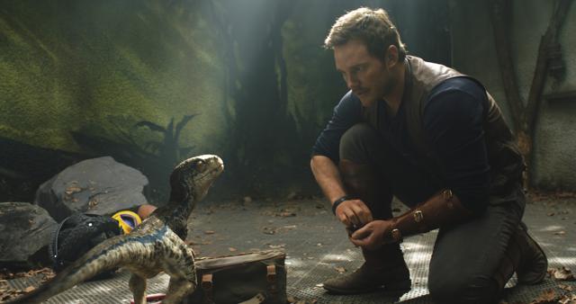 This image released by Universal Pictures shows Chris Pratt in a scene from the upcoming Jurassic World: Fallen Kingdom. (AP) This image released by Universal Pictures shows Chris Pratt in a scene from the upcoming Jurassic World: Fallen Kingdom. (AP)