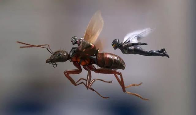 In the sequel to the 2015 blockbuster, Ant-Man teams up with the Wasp to rescue her mother from a subatomic dimension. In the sequel to the 2015 blockbuster, Ant-Man teams up with the Wasp to rescue her mother from a subatomic dimension.