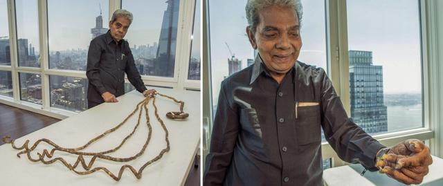 Guinness world record holder permanently handicapped for not cutting nails for 66 years | Latest News India - Hindustan Times Guinness world record holder permanently handicapped for not cutting nails for 66 years | Latest News India - Hindustan Times