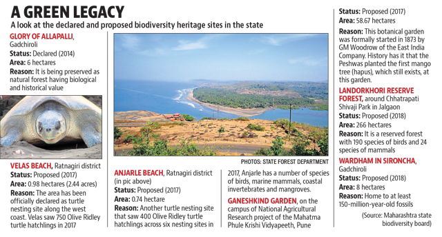 Article image Article image
