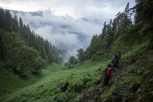 Malana trek to Kasaul. (Shutterstock) Malana trek to Kasaul. (Shutterstock)