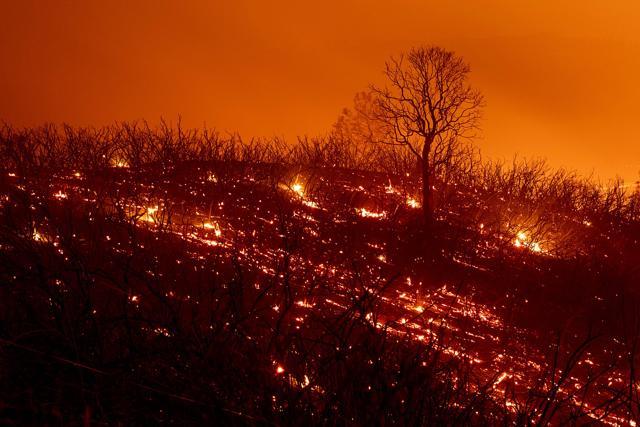 Embers smoulder along a hillside after the Ranch Fire, part of the Mendocino Complex Fire, burned though the area near Clearlake Oaks, California, on August 5. (AFP) Embers smoulder along a hillside after the Ranch Fire, part of the Mendocino Complex Fire, burned though the area near Clearlake Oaks, California, on August 5. (AFP)