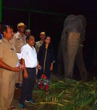 This the first time such an exercise has been initiated, Ramnagar DFO Neha Verma said. (HT Photo) This the first time such an exercise has been initiated, Ramnagar DFO Neha Verma said. (HT Photo)