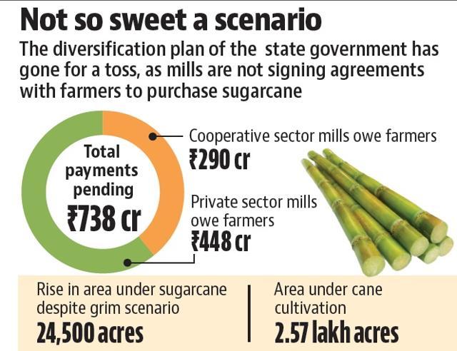 15 Sugar Mills In Punjab Owe ₹738 Crore To Cane Growers - Hindustan Times