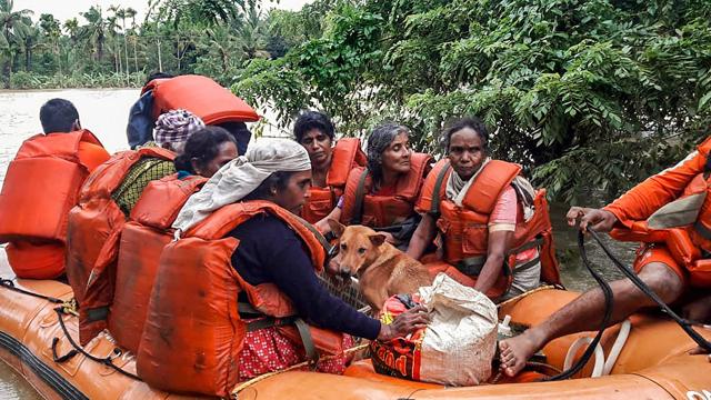NDRF personnel rescue flood-hit people in Wayanad. (PTI) NDRF personnel rescue flood-hit people in Wayanad. (PTI)