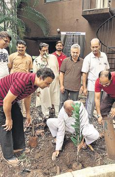 Residents of Supriya Sankul plant trees during the drive. (HT PHOTO) Residents of Supriya Sankul plant trees during the drive. (HT PHOTO)