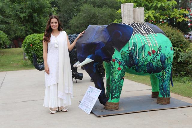 Dia Mirza at the Elephant Day celebrations in Delhi. Dia Mirza at the Elephant Day celebrations in Delhi.