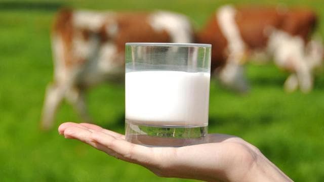 Milk contains tryptophan, which can improve sleep and boost your calcium levels as well. (Shutterstock) Milk contains tryptophan, which can improve sleep and boost your calcium levels as well. (Shutterstock)