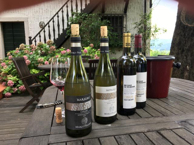 From the early 15th century to the 18th, Ribolla was considered one of the finest whites in Friuli