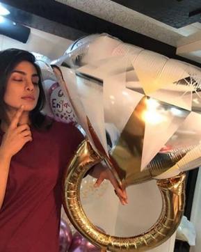 Priyanka Chopra posted this picture on her Instagram stories. (Instagram)