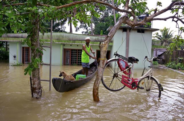 A bicycle is hung from a tree branch to avoid being washed away in flood waters as a man rows his boat at Kuttanad in Alappuzha, Kerala, on August 20, 2018. (AP) A bicycle is hung from a tree branch to avoid being washed away in flood waters as a man rows his boat at Kuttanad in Alappuzha, Kerala, on August 20, 2018. (AP)