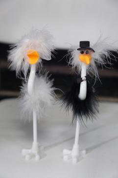 This pair of Ostrich-shaped pens in white and black colours is catching everyone’s fancy. Price: 
₹50 per pen. Stall: H7B-2A. (PHOTO: AMAL KS/HT)