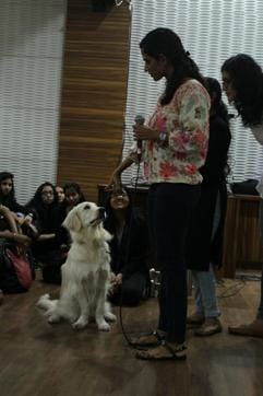 Students de-stress at an animal-assisted therapy session organised by Mithibai College’s psychology department.