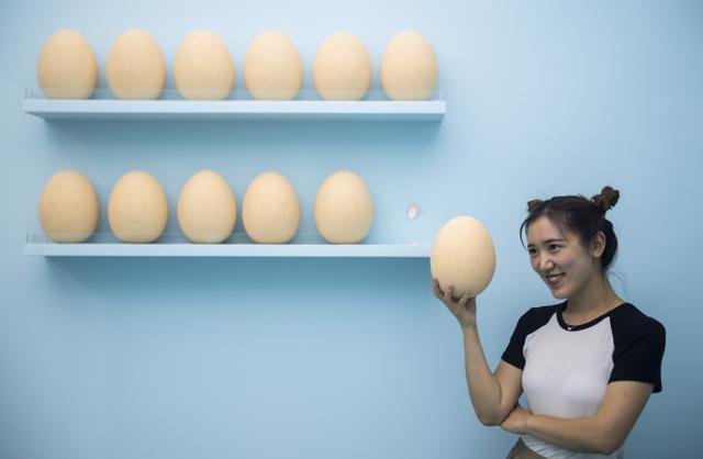 A visitor poses at The Egg House in Shanghai. (AFP) A visitor poses at The Egg House in Shanghai. (AFP)