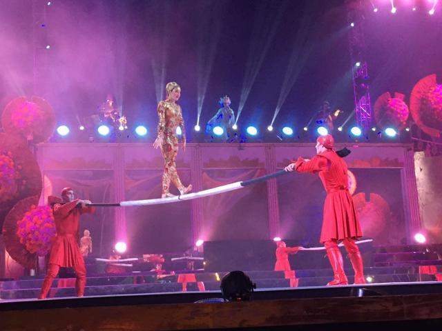 A Cirque du Soleil performance in Kolkata earlier.