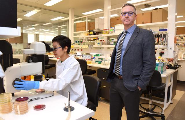 Ben Howden (right), director of the University of Melbourne's Microbiological Diagnostic Unit Public Health Laboratory, with Jean Lee (L). (AFP) Ben Howden (right), director of the University of Melbourne's Microbiological Diagnostic Unit Public Health Laboratory, with Jean Lee (L). (AFP)