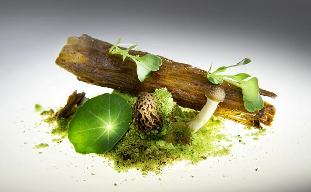 Overseas favourites include Gaggan Anand, with his emoji menu and crazy creativity. Like this dish of candied mushroom log, edible soil, green chili and microgreens. (eatatgaggan.com) Overseas favourites include Gaggan Anand, with his emoji menu and crazy creativity. Like this dish of candied mushroom log, edible soil, green chili and microgreens. (eatatgaggan.com)