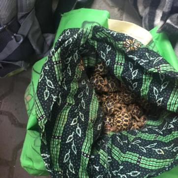 An official said this was the largest seizure in Mumbai till date. (HT Photo ) An official said this was the largest seizure in Mumbai till date. (HT Photo )