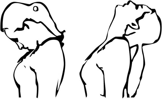 Do these neck stretches 10 times each (Illustration : Sunil Kumar Mallik ) Do these neck stretches 10 times each (Illustration : Sunil Kumar Mallik )