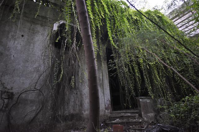 The bungalow’s main gate was stolen sometime last year. The theft went undetected as thick undergrowth has taken over both the bungalow’s floors. (Burhaan Kinu/HT Photo) The bungalow’s main gate was stolen sometime last year. The theft went undetected as thick undergrowth has taken over both the bungalow’s floors. (Burhaan Kinu/HT Photo)