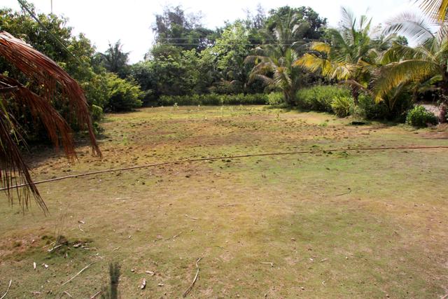 Butterfly garden at Ovalekar Wadi in Thane. (Praful Gangurde/HT) Butterfly garden at Ovalekar Wadi in Thane. (Praful Gangurde/HT)