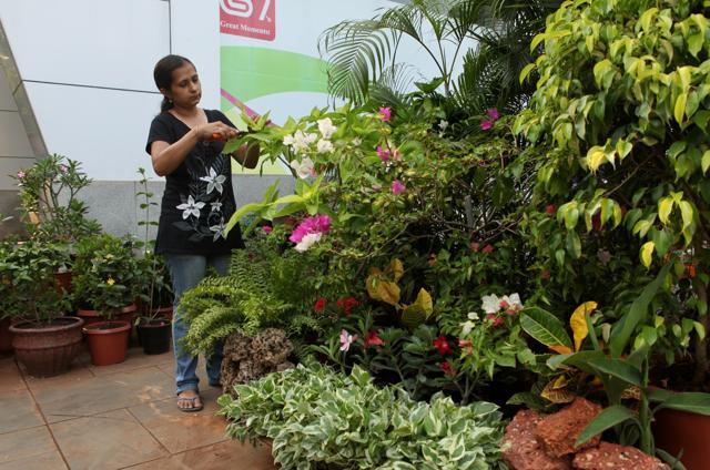 Spending time in nature and indulging in hobbies such as gardening keep one’s brain healthy. (Photo: Satish Bate/HT) Spending time in nature and indulging in hobbies such as gardening keep one’s brain healthy. (Photo: Satish Bate/HT)