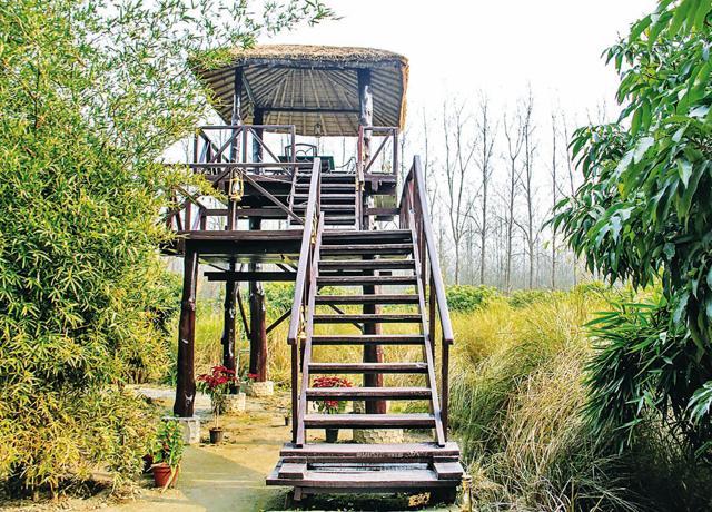 A machaan with a twist is set up for a meal with a view (Kalpana Sunder) A machaan with a twist is set up for a meal with a view (Kalpana Sunder)