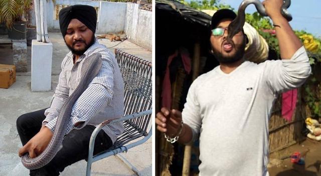 Late Vikram Malout’s illegal, hazardous stunts with cobras. (Facebook) Late Vikram Malout’s illegal, hazardous stunts with cobras. (Facebook)