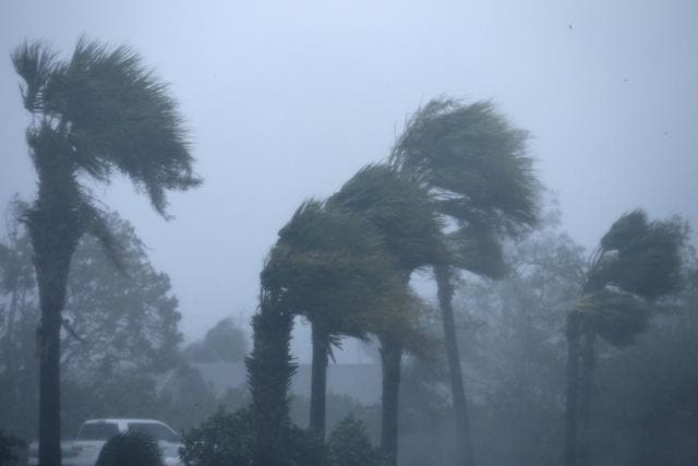 Palm trees are seen during Hurricane Michael in Panama City Beach, Florida, US October 10, 2018. (REUTERS) Palm trees are seen during Hurricane Michael in Panama City Beach, Florida, US October 10, 2018. (REUTERS)