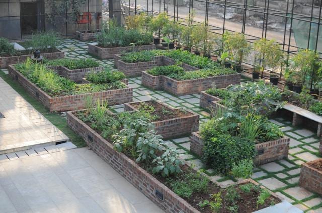 Godrej Properties’ The Trees will have 2,200 sq ft of urban farming. Godrej Properties’ The Trees will have 2,200 sq ft of urban farming.