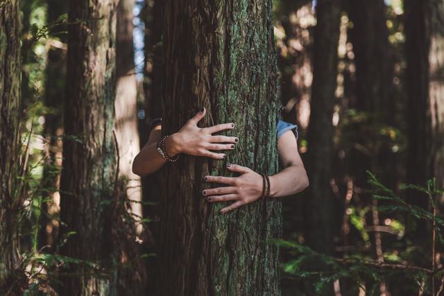 Ecosexuals believe that by actions such as hugging trees and having intercourse with the earth, they can help battle the strenuous effects on Mother Nature. (Unsplash.com) Ecosexuals believe that by actions such as hugging trees and having intercourse with the earth, they can help battle the strenuous effects on Mother Nature. (Unsplash.com)