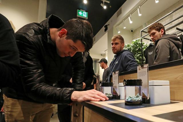 A customer looks at cannabis on display after legal recreational marijuana went on sale at a Tweed retail store in St John's, Newfoundland and Labrador, Canada October 17, 2018. (Reuters) A customer looks at cannabis on display after legal recreational marijuana went on sale at a Tweed retail store in St John's, Newfoundland and Labrador, Canada October 17, 2018. (Reuters)