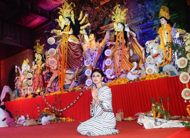 Durga Puja seeks the blessings of the goddess. (IANS) Durga Puja seeks the blessings of the goddess. (IANS)