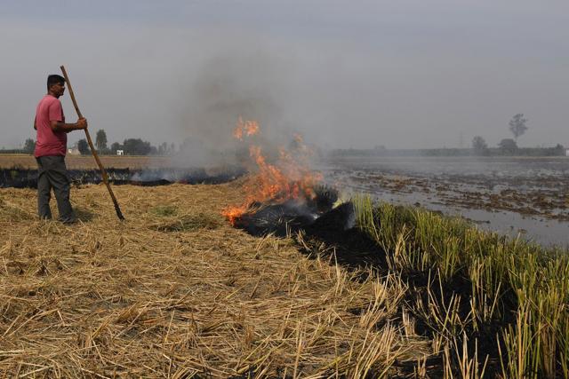 A farmer burns straw stubble in his field at Ishargarh village. (AFP Photo) A farmer burns straw stubble in his field at Ishargarh village. (AFP Photo)